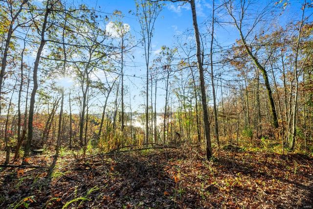 0 County Road 336, Annapolis, MO 63620