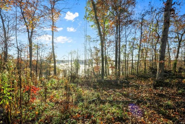 0 County Road 336, Annapolis, MO 63620