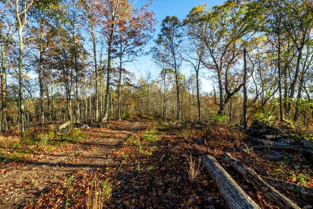 0 County Road 336, Annapolis, MO 63620