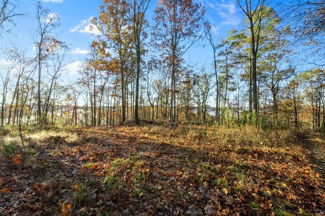 0 County Road 336, Annapolis, MO 63620