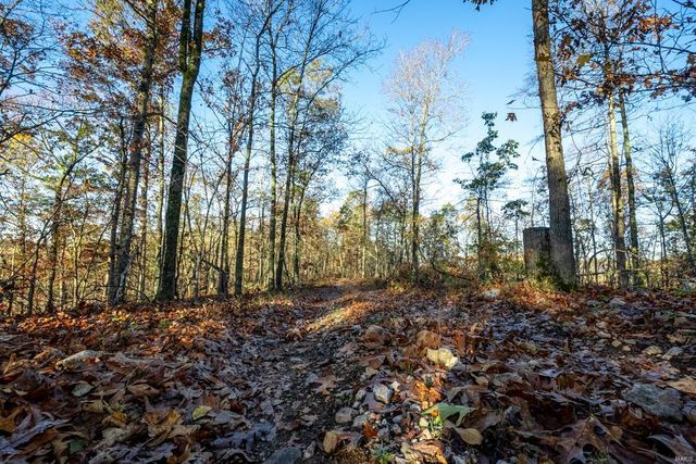 0 County Road 336, Annapolis, MO 63620