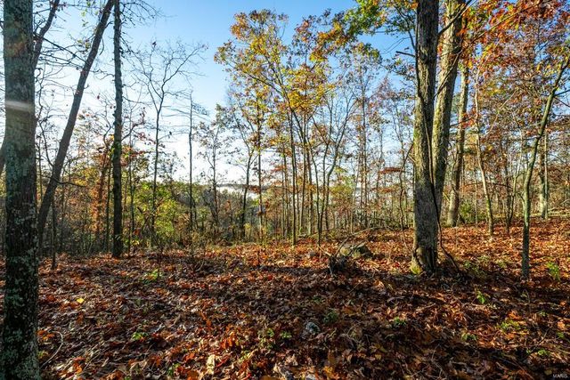 0 County Road 336, Annapolis, MO 63620