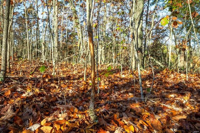 0 County Road 336, Annapolis, MO 63620