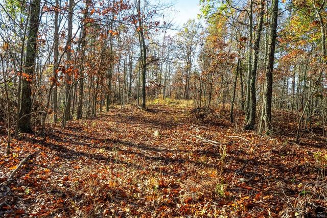 0 County Road 336, Annapolis, MO 63620