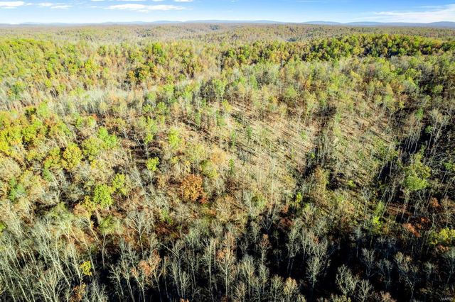 0 County Road 336, Annapolis, MO 63620