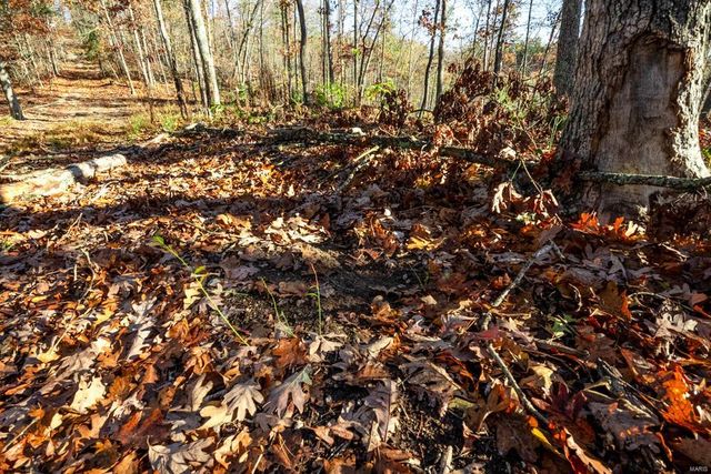 0 County Road 336, Annapolis, MO 63620