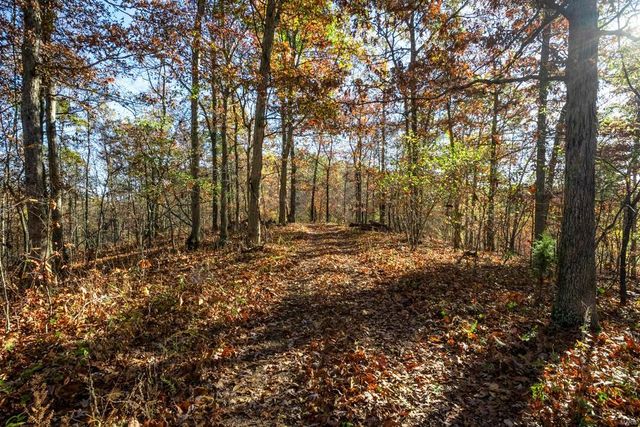 0 County Road 336, Annapolis, MO 63620