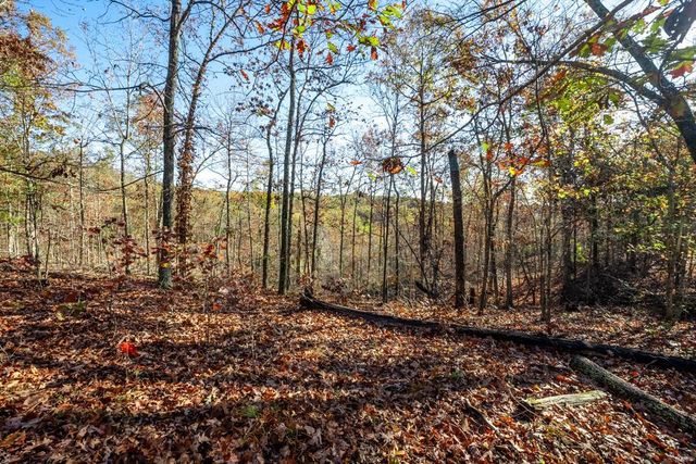 0 County Road 336, Annapolis, MO 63620