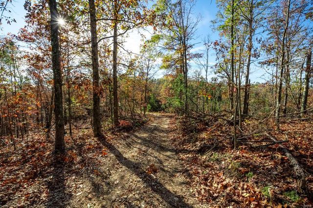 0 County Road 336, Annapolis, MO 63620