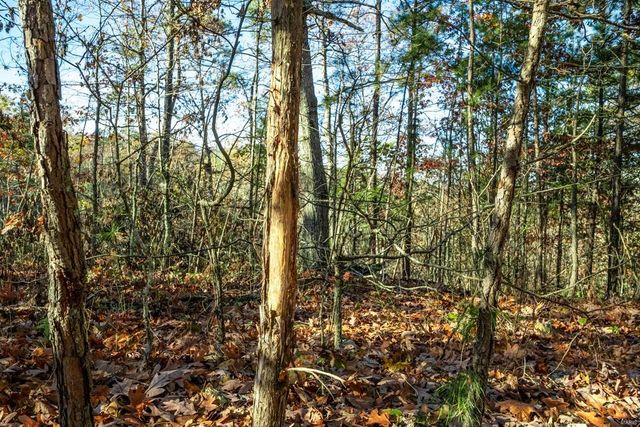 0 County Road 336, Annapolis, MO 63620