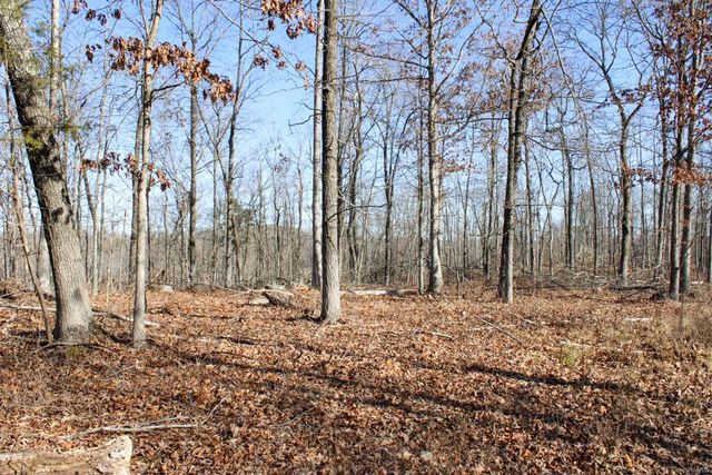 0 County Road 336, Annapolis, MO 63620