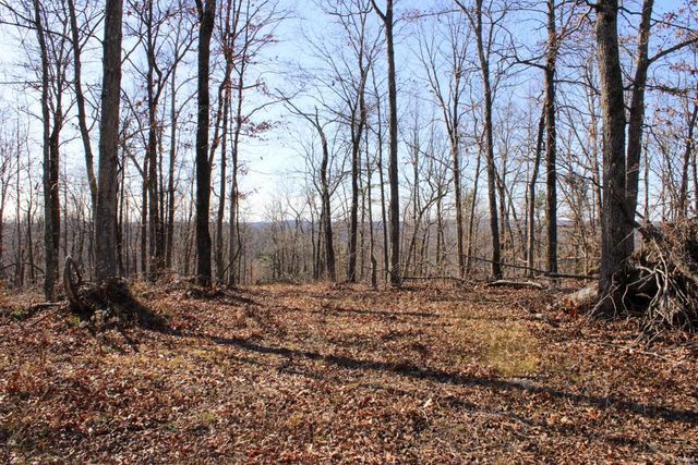 0 County Road 336, Annapolis, MO 63620