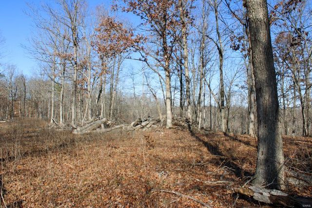 0 County Road 336, Annapolis, MO 63620