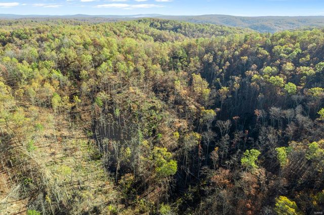 0 County Road 336, Annapolis, MO 63620