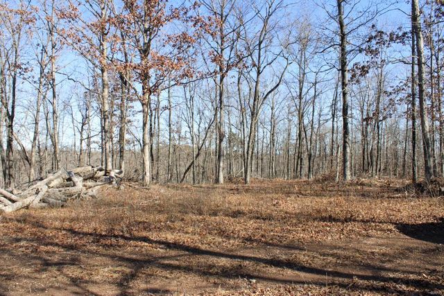 0 County Road 336, Annapolis, MO 63620