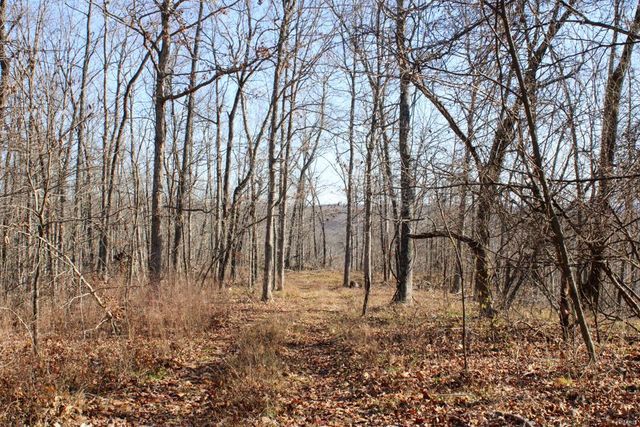 0 County Road 336, Annapolis, MO 63620