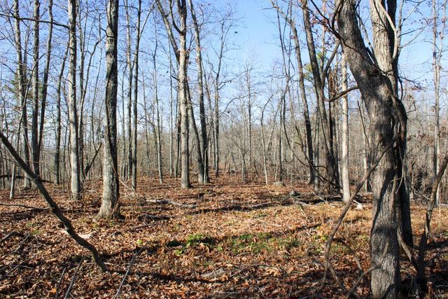 0 County Road 336, Annapolis, MO 63620