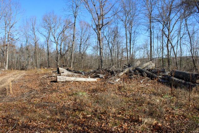 0 County Road 336, Annapolis, MO 63620