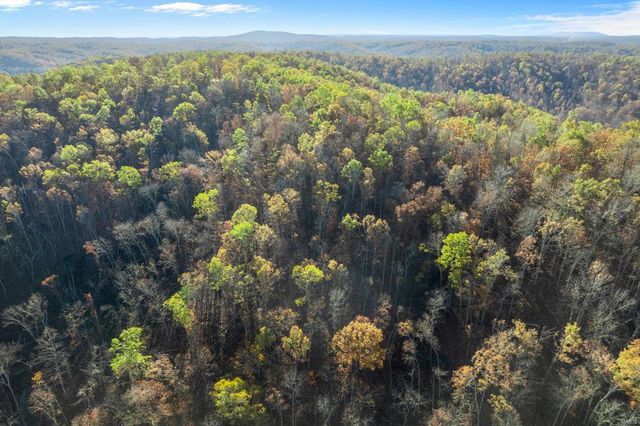 0 County Road 336, Annapolis, MO 63620