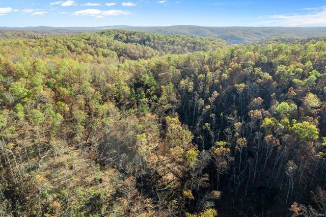 0 County Road 336, Annapolis, MO 63620