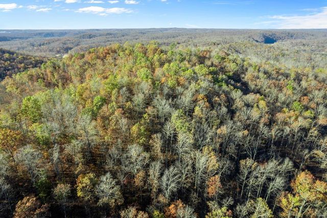 0 County Road 336, Annapolis, MO 63620