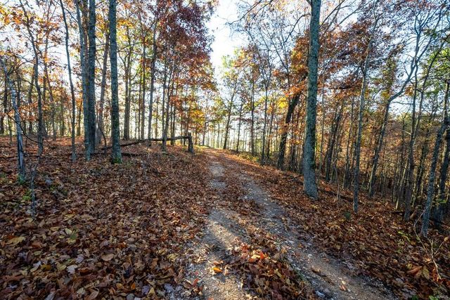 0 County Road 336, Annapolis, MO 63620