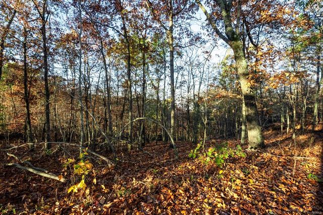 0 County Road 336, Annapolis, MO 63620