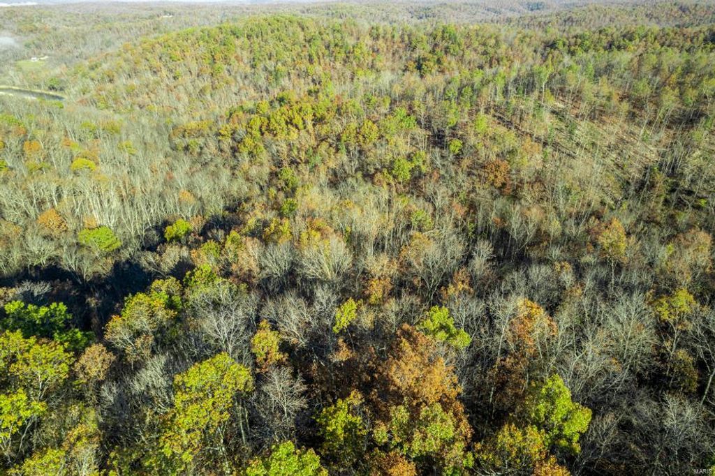 0 County Road 336, Annapolis, MO 63620