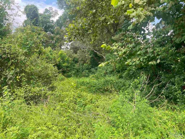 419 N Corry Field Rd, Pensacola, FL 32506