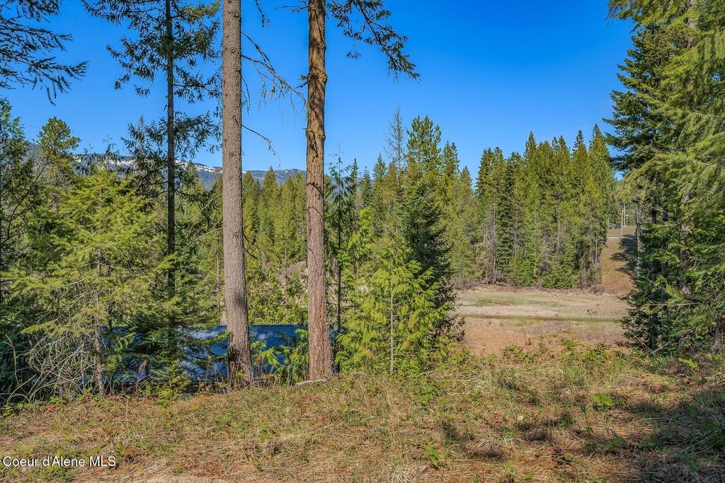 NNA Lot 13 Swan Shores Drive, Sagle, ID 83860