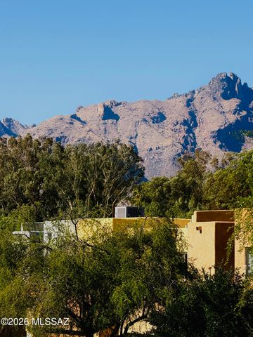4156 N Fortune Loop, Tucson, AZ 85719