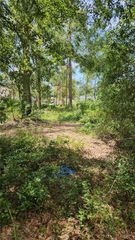 7624 ANNO STREET, Tampa, FL 33625