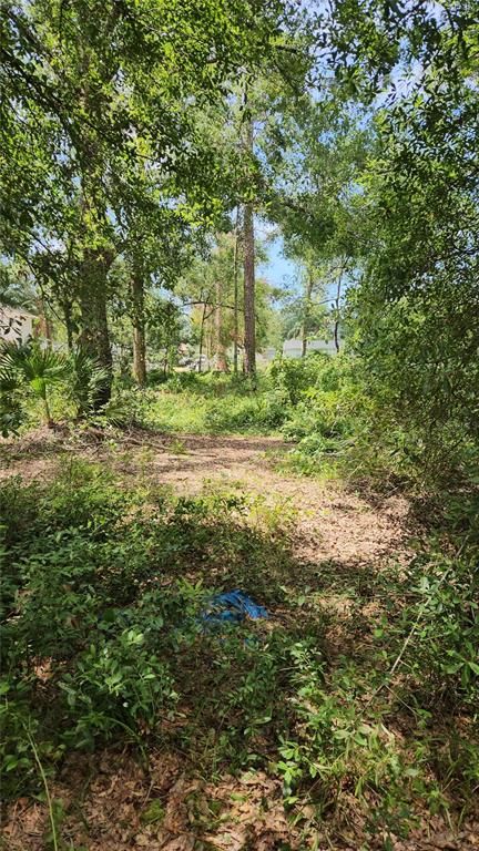 7624 ANNO STREET, Tampa, FL 33625