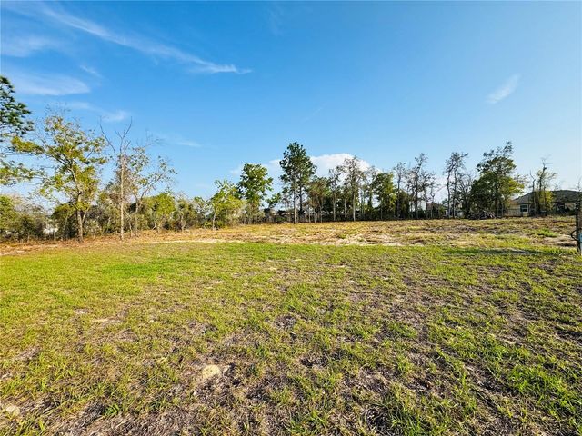 11380 OLD SQUAW AVENUE, Weeki Wachee, FL 34614