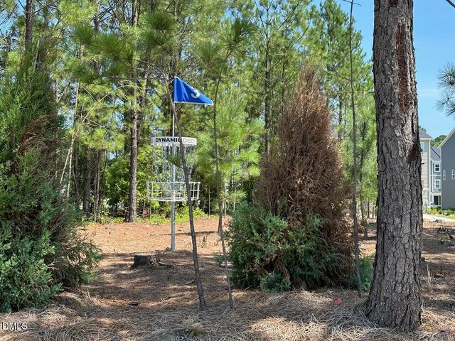 328 Carolina Spgs Boulevard, Apex, NC 27539