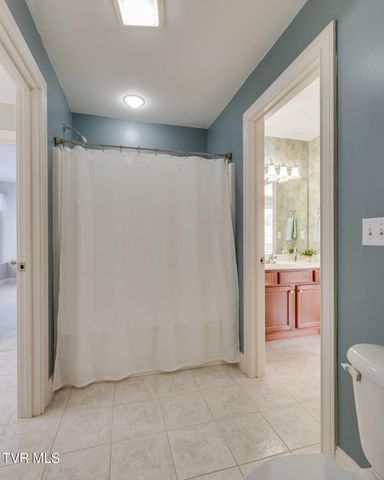 1 Honeysuckle Court, Johnson City, TN 37615