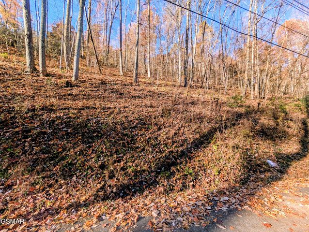 Lot 1273 Raymond Hollow Road, Sevierville, TN 37876
