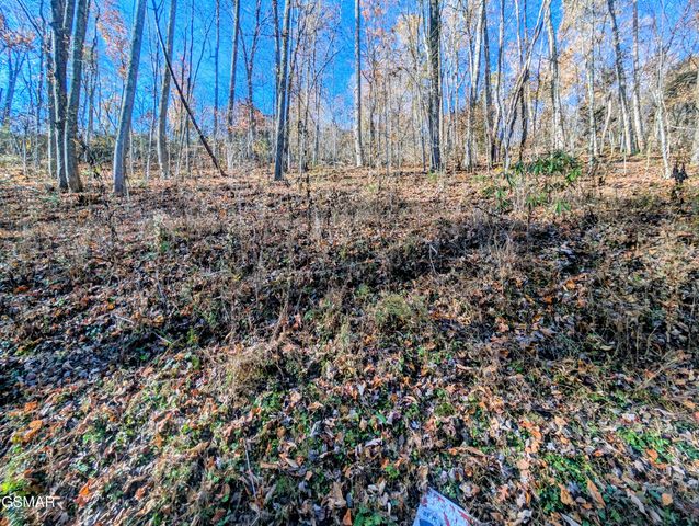 Lot 1273 Raymond Hollow Road, Sevierville, TN 37876