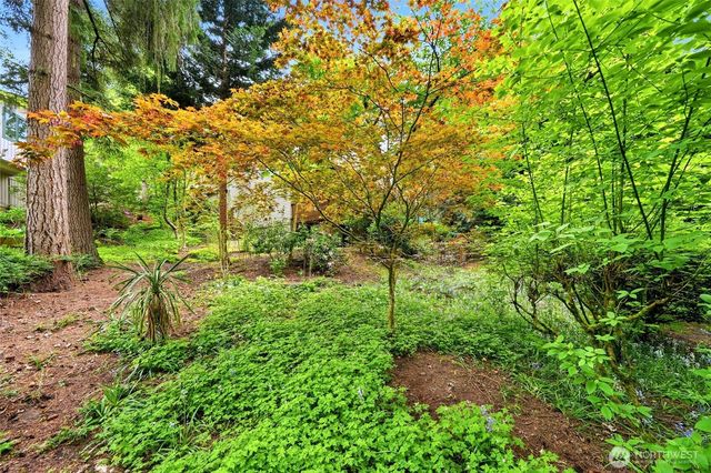 12326 24th Avenue NE, Seattle, WA 98125