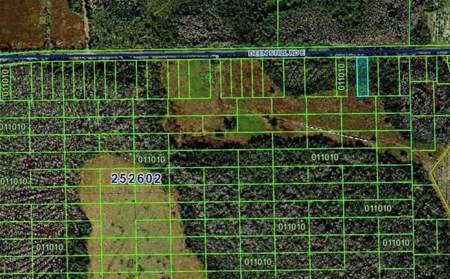 DEEN STILL ROAD E, Polk City, FL 33868