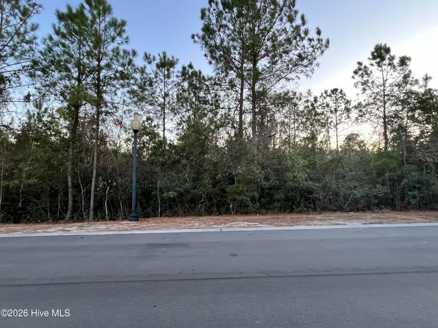 2957 Old Berwick Street SW, Shallotte, NC 28470