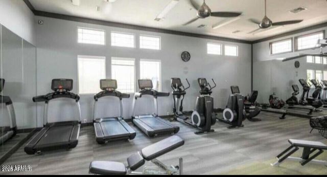 4615 E NAVIGATOR Lane, Phoenix, AZ 85050