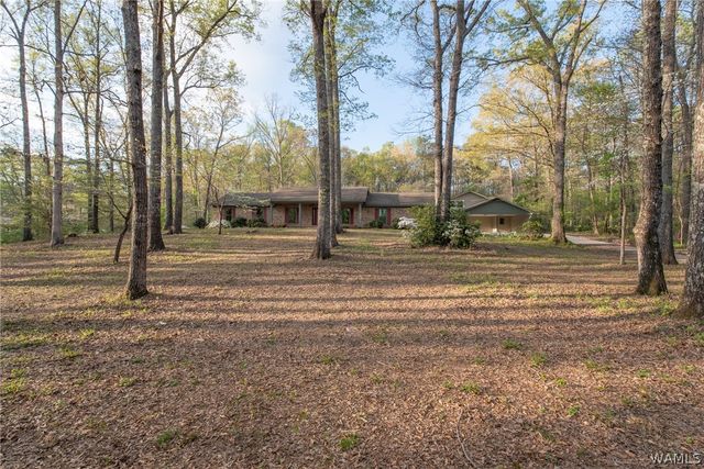 11947 Graceland, Northport, AL 35475