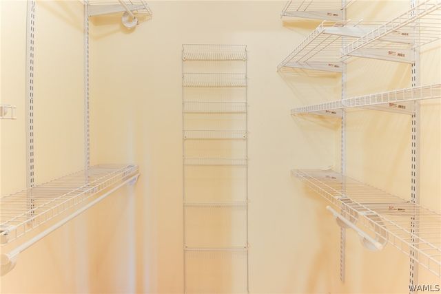 11947 Graceland, Northport, AL 35475