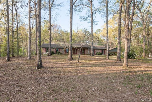 11947 Graceland, Northport, AL 35475