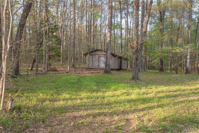 11947 Graceland, Northport, AL 35475