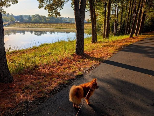 7451 Shady Glen Drive, Flowery Branch, GA 30542