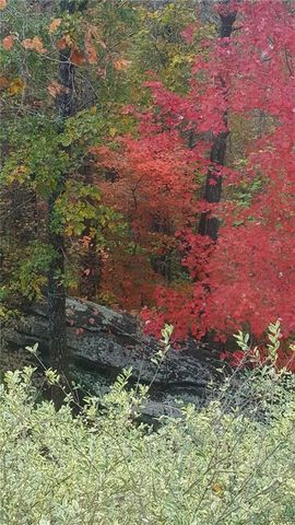 7451 Shady Glen Drive, Flowery Branch, GA 30542