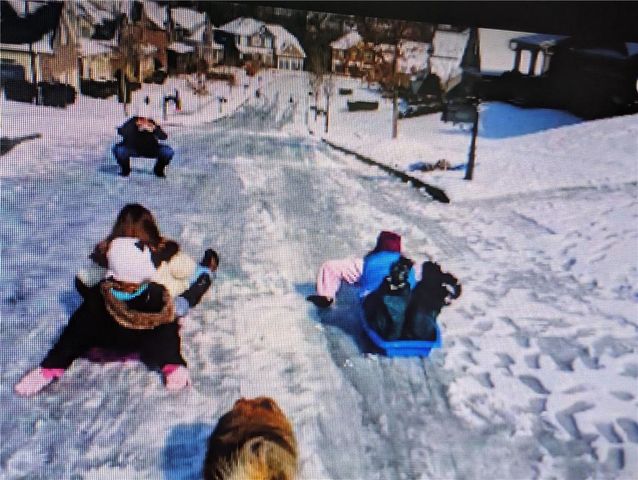 7451 Shady Glen Drive, Flowery Branch, GA 30542