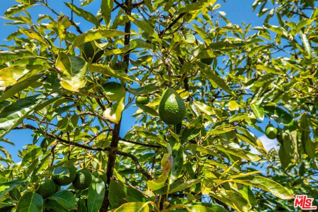 8018 Balcom Canyon Road, Somis, CA 93066